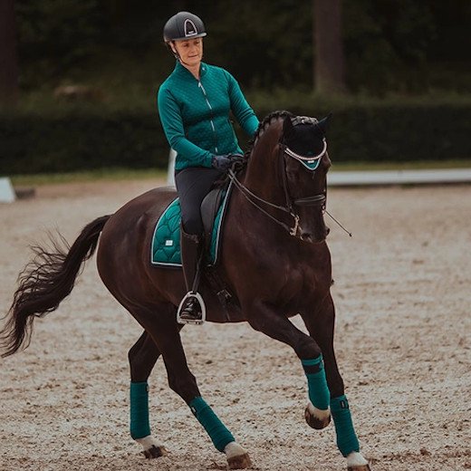 Equestrian Stockholm 馬場ゼッケン Emerald - Flippan Riding Shop