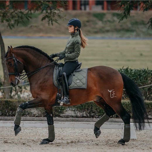 乗馬 良い Equestrian Stockholm