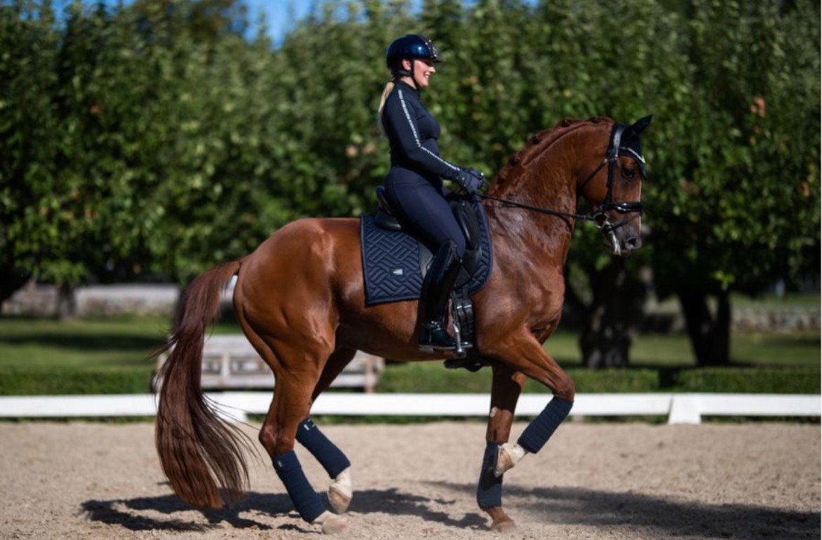 Equestrian Stockholm エクエストリアンストックホルム 乗馬 - その他スポーツ