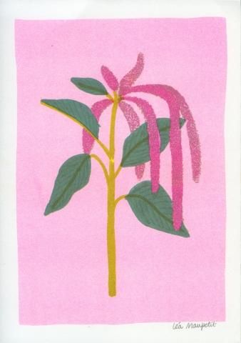 Lea Maupetit イラストプリント作品 アマランス Lea Maupetit イラストプリント作品 アマランス