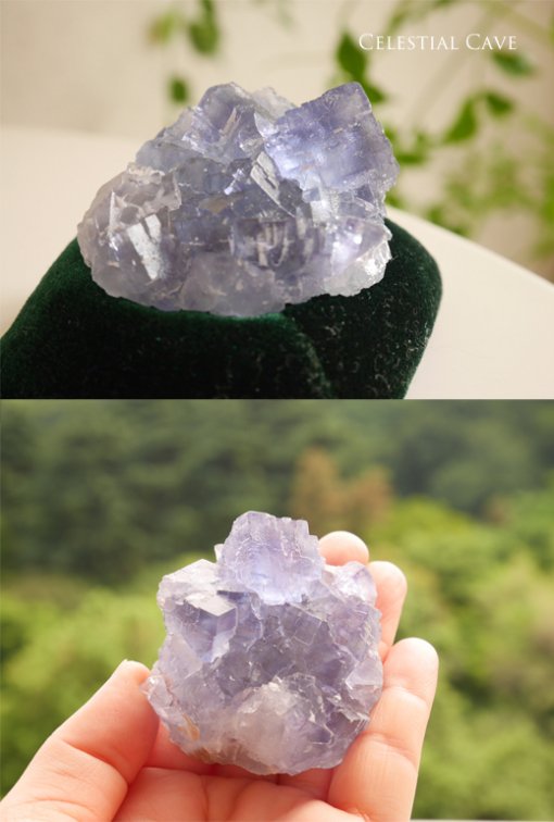 スペイン産ブルーフローライト - Celestial Crystal & Metaphysical Stones by Sanctuary