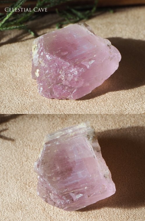 クンツァイト 原石 Celestial Crystal  Metaphysical Stones by Sanctuary