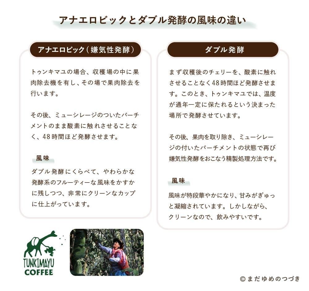 【コーヒー生豆】 1kg ウェギダベンチマジエルストロベリー① 生豆限定】 イルガチェフェ （生豆1kgパック）