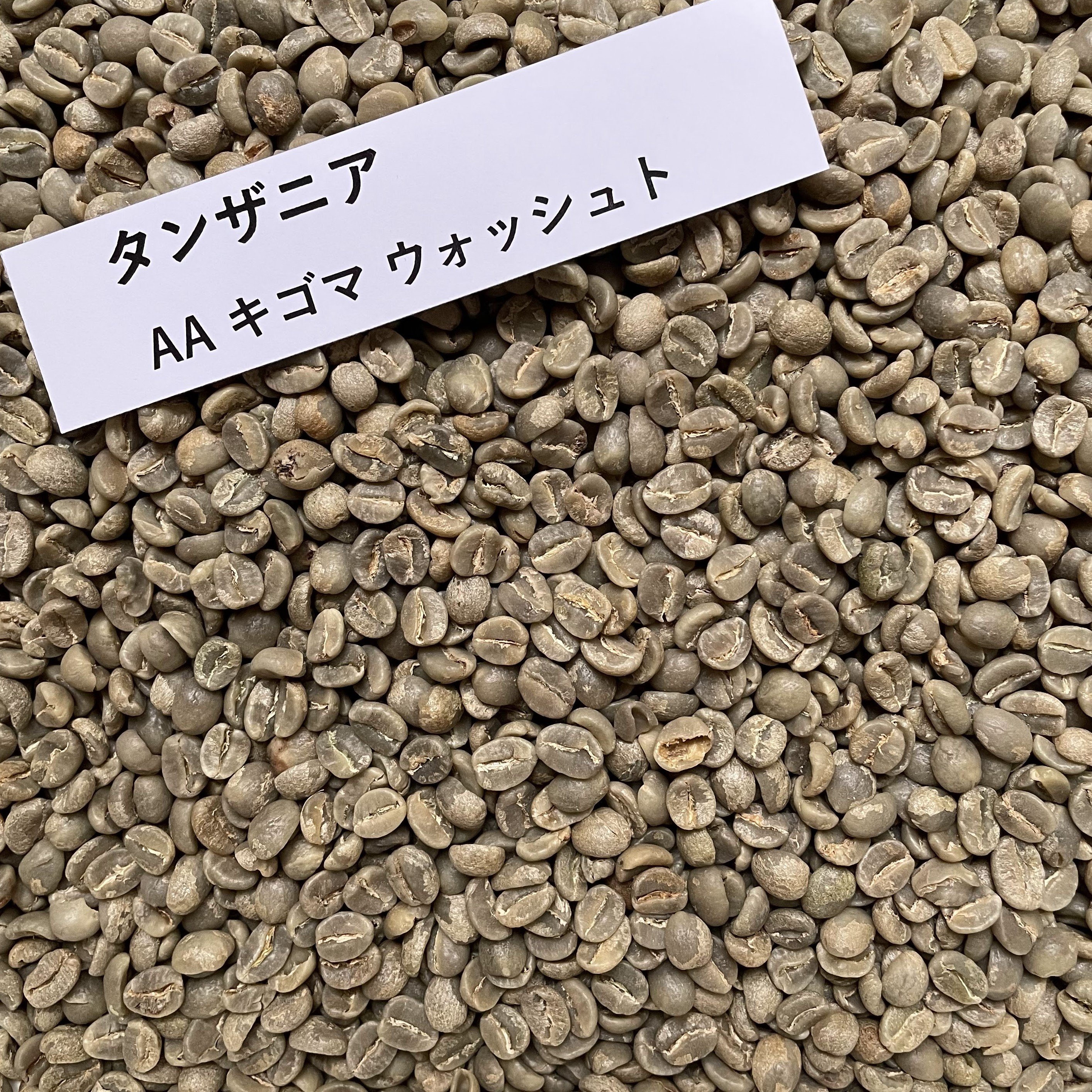 コーヒー生豆 タンザニアAA キゴマ プレミアム ウォッシュト 1kg 栽培