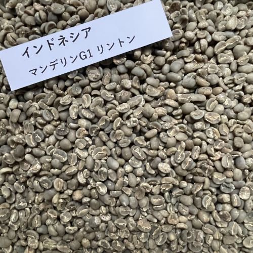 オーガニック コーヒー 生豆 【2020-2021年 新豆】 無農薬