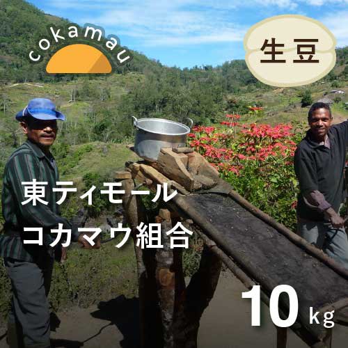 コーヒー生豆 東ティモール コカマウ組合 10kg フェアトレード 有機JAS