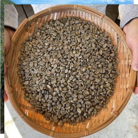 【東ティモール】エルメラ（有機栽培）　コーヒー生豆 １０kg コーヒー生豆 | 東ティモール・エルメラ産 - オーガニック
