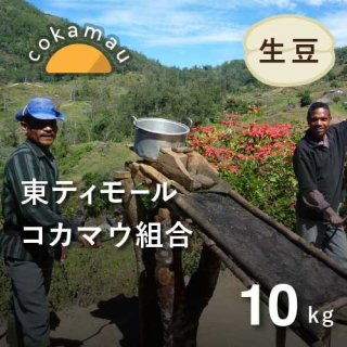 〈再入荷〉 コーヒー生豆 東ティモール コカマウ組合 ( プレミアム ) 農薬不使用 10kg (2023年) 農薬不使用