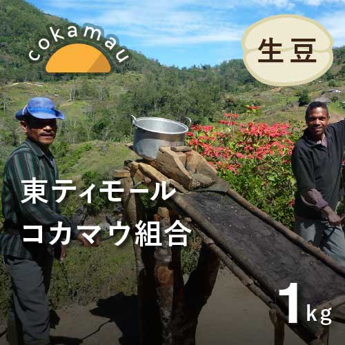 コーヒー生豆 東ティモール コカマウ組合 1kg  農薬不使用 