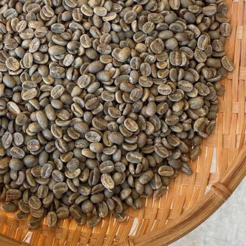 コーヒー生豆 東ティモール コカマウ組合 1kg  農薬不使用 
