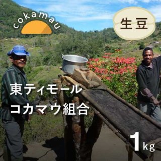 〈7/1~新価格〉コーヒー生豆 東ティモール コカマウ組合 1kg  農薬不使用