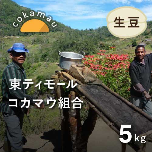 ＜7/1~新価格＞コーヒー生豆 東ティモール コカマウ組合 5kg  農薬不使用 