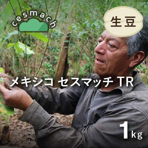 コーヒー生豆 メキシコ セスマッチ トランジション 1kg (2021-2022年新豆) 農薬不使用