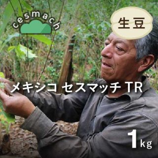 前月のTOP3】コーヒー生豆 3種セット (各1kg / 計3kg) 農薬不使用 送料