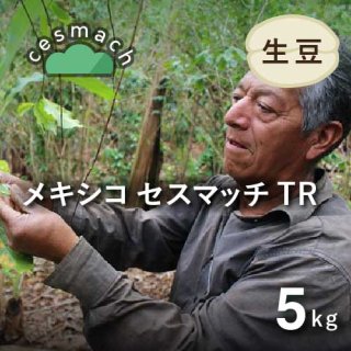 【販売終了】 ★無農薬コーヒー生豆★ メキシコ セスマッチ TR 5kg