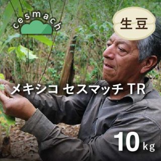 コーヒー生豆 メキシコ セスマッチ トランジション 10kg 農薬不使用 (1キロあたり 1,893円)