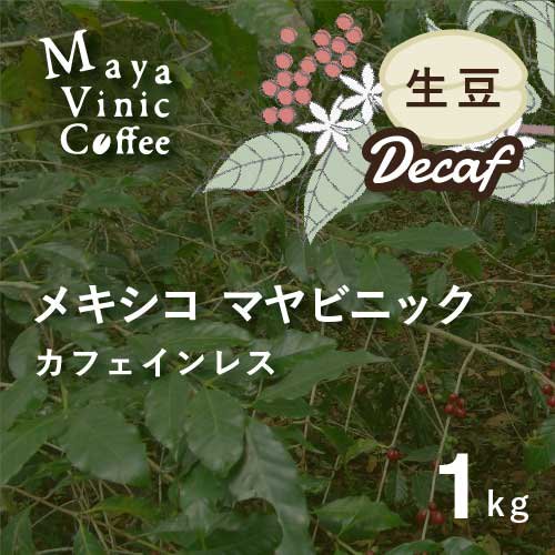 カフェインレス コーヒー(デカフェ)メキシコ マヤビニック 1kg【農薬不 