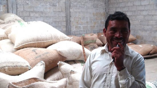 カフェインレス コーヒー (デカフェ) 生豆 フェアトレード メキシコ マヤビニック 5kg 農薬不使用 (1キロあたり 2,865円）