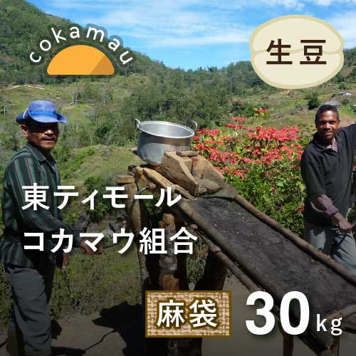 【新豆入港記念】★無農薬コーヒー生豆★ 東ティモール コカマウ 30kg