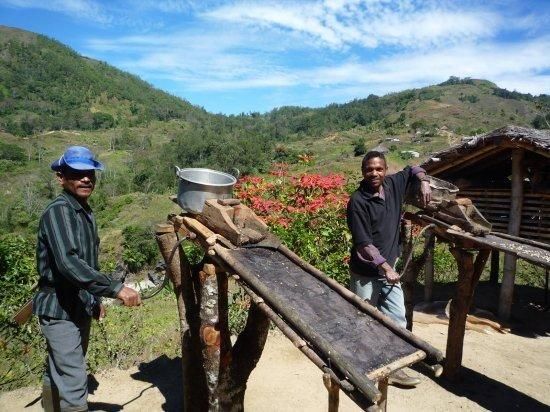  ڸѡۡ2025ǯƦ ҡƦ ƥ⡼ ޥȹ ȥץߥ 30kg ͭJASǧ (1 1,813)Ŀ𡦸Ŀ̾ιԲ