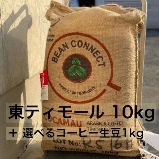 ҺǽSALE ҡƦ ƥ⡼ ޥȹ 10kg & ʥҡƦ1kgץ쥼  (ΤͭJAS˥åǧƦ)