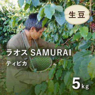 〈2024年2月末にて販売終了〉 コーヒー生豆 ラオス産 SAMURAI ティピカ 5kg 農薬不使用 (1キロあたり1,870円) スクリーン15サイズ