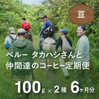  ペルー・高橋さんのコーヒー定期便 【Liteコース】 毎月100g×2種類  6か月分（豆のまま）