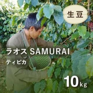 コーヒー生豆 インドネシア リントン マンデリン G1 リントン