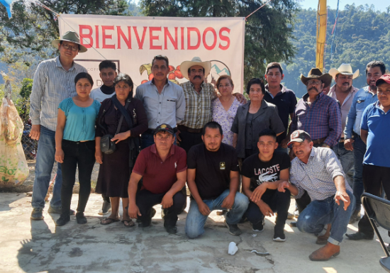 <img class='new_mark_img1' src='https://img.shop-pro.jp/img/new/icons14.gif' style='border:none;display:inline;margin:0px;padding:0px;width:auto;' />ҿƦ ޥå ڥƥҡƦ ե󥫡ɥ󡦥ե  ʥӥå ʥ (2024-2025ǯ) 5kg Ի (1kg5,836ߡ