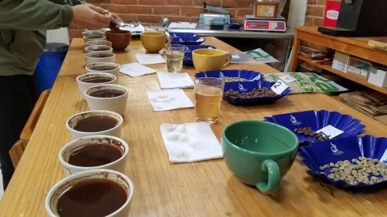 <img class='new_mark_img1' src='https://img.shop-pro.jp/img/new/icons14.gif' style='border:none;display:inline;margin:0px;padding:0px;width:auto;' />ҿƦ ޥå ڥƥҡƦ ե󥫡ɥ󡦥ե  ʥӥå ʥ (2024-2025ǯ) 5kg Ի (1kg5,836ߡ