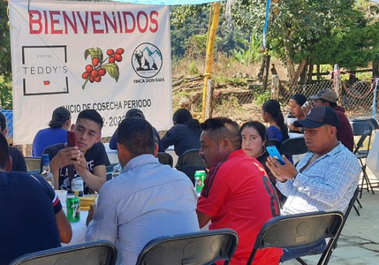 <img class='new_mark_img1' src='https://img.shop-pro.jp/img/new/icons14.gif' style='border:none;display:inline;margin:0px;padding:0px;width:auto;' />ҿƦ ޥå ڥƥҡƦ ե󥫡ɥ󡦥ե  ʥӥå ʥ (2024-2025ǯ) 5kg Ի (1kg5,836ߡ