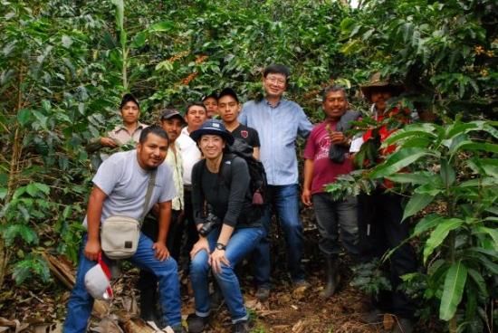 <img class='new_mark_img1' src='https://img.shop-pro.jp/img/new/icons14.gif' style='border:none;display:inline;margin:0px;padding:0px;width:auto;' />ҿƦ ޥå ڥƥҡƦ ե󥫡ɥ󡦥ե  ʥӥå ʥ (2024-2025ǯ) 5kg Ի (1kg5,836ߡ