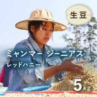 〈7/29〜価格変更〉コーヒー生豆 ミャンマー ジーニアス レッドハニー 5kg 農薬不使用