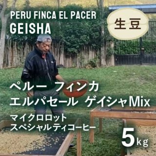 〈新豆・希少〉コーヒー生豆 マイクロロット・スペシャルティコーヒー ペルー タカハシ ゲイシャ(多品種混合ややあり) 5kg 農薬不使用