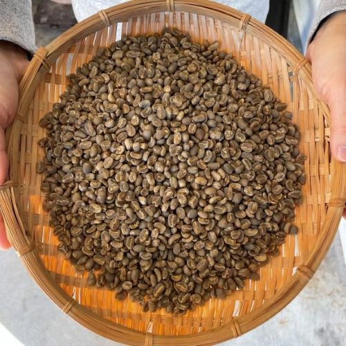 コーヒー生豆 マンデリン  G1 リントン ブルーバタック 1kg 農薬不使用 