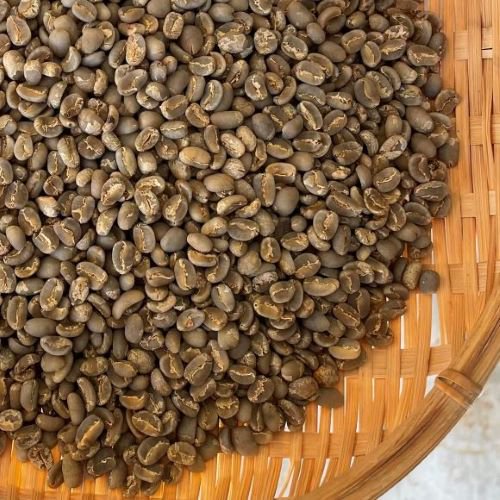 〈2023年新豆〉コーヒー生豆 マンデリン  G1 リントン ブルーバタック 1kg 農薬不使用 