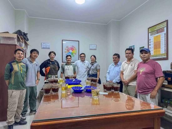 前月のTOP3】コーヒー生豆 3種セット (各1kg / 計3kg) 農薬不使用 送料