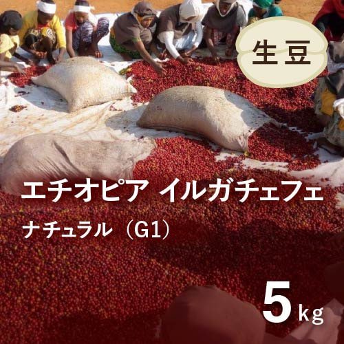 コーヒー生豆 エチオピア イルガチェフェ ナチュラルG1(アリーチャ WS) 5kg 農薬不使用 