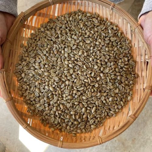 【販売終了】★農薬不使用 コーヒー生豆★ エチオピア イルガチェフェ ナチュラルG1 （コケ村）5kg