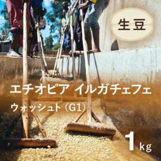 コーヒー生豆 エチオピア イルガチェフェ G1 ウォッシュト(イディド地区)1kg 農薬不使用 