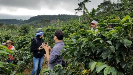 <img class='new_mark_img1' src='https://img.shop-pro.jp/img/new/icons14.gif' style='border:none;display:inline;margin:0px;padding:0px;width:auto;' />ҿƦӥޥå ڥƥҡƦ ե󥫡ɥ󡦥ե  ʥӥå ʥ (2024-2025ǯ) 1kg Ի