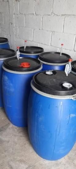 <img class='new_mark_img1' src='https://img.shop-pro.jp/img/new/icons14.gif' style='border:none;display:inline;margin:0px;padding:0px;width:auto;' />ҿƦӥޥå ڥƥҡƦ ե󥫡ɥ󡦥ե  ʥӥå ʥ (2024-2025ǯ) 1kg Ի