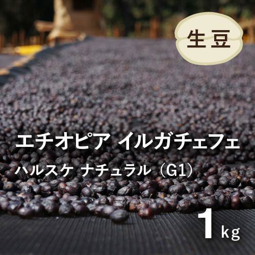 オーガニックコーヒー 有機栽培コーヒー 無農薬コーヒー エチオピア