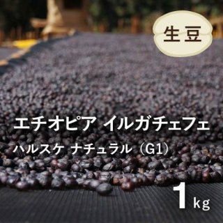 〈期間限定価格〉コーヒー生豆 エチオピア イルガチェフェ ナチュラル (ハルスケ村)1kg 農薬不使用
