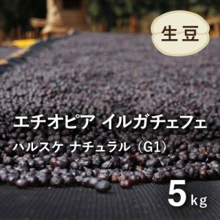 生豆5kg - オーガニックコーヒー生豆 卸・通販の豆乃木