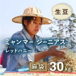 コーヒー生豆 ミャンマー ジーニアス レッドハニー 30kg 農薬不使用 (1キロあたり1,452円)