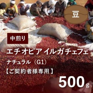 【ご契約者専用｜ご契約者以外購入できません】エチオピア イルガチェフェ ナチュラルG1 中煎り 500g（豆）農薬不使用