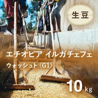 【販売終了】コーヒー生豆 エチオピア イルガチェフェ G1 ウォッシュト(イディド地区)10kg 農薬不使用 