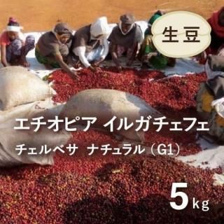 <img class='new_mark_img1' src='https://img.shop-pro.jp/img/new/icons14.gif' style='border:none;display:inline;margin:0px;padding:0px;width:auto;' />ޤJASǧդ ҡƦ ԥ 륬ե ʥG1(٥¼) 5kg Ի (13,487)