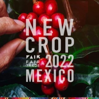 コーヒー生豆 フェアトレード メキシコ マヤビニック 30kg 農薬不使用